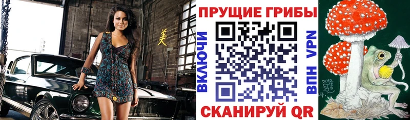 Галлюциногенные грибы прущие грибы Семикаракорск
